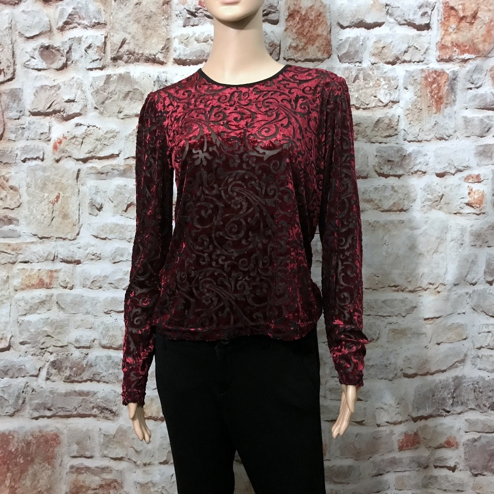 Velveteen Sheer Long Sleeve Shirt